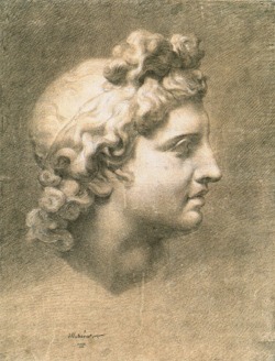 Maurer, Hubert - Kopf des Belvedere-Apollo