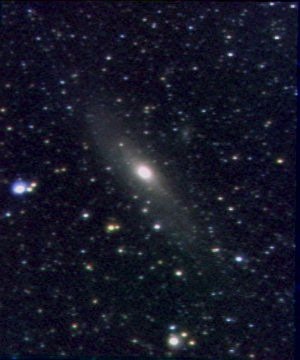 M31