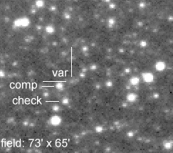 map of the new variable star HassfortherV19