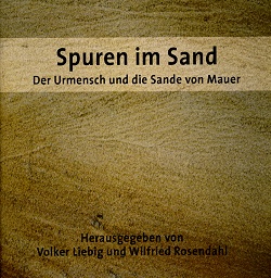 Spuren im Sand