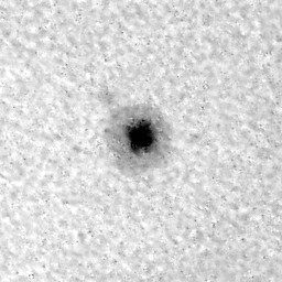 AR 12542