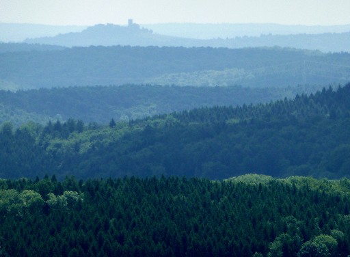 Steinsberg von Dilsberg aus