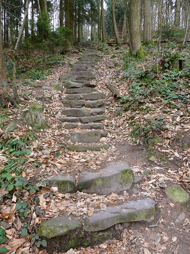 Neckarsteig, Himmelsleiter